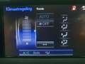 Lexus CT 200h 25th Edition NAVI/CRUISE/CLIMA/STOELVERW/LMV Grau - thumbnail 30