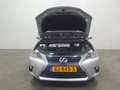 Lexus CT 200h 25th Edition NAVI/CRUISE/CLIMA/STOELVERW/LMV Grau - thumbnail 20