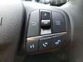 Ford Focus Turnier 1.5 EcoBlue Start-Stopp-System Aut. TITANI Weiß - thumbnail 14