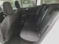Ford Focus Turnier 1.5 EcoBlue Start-Stopp-System Aut. TITANI Weiß - thumbnail 22