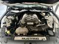 Ford Mustang GT V8 5.0 CAMERA DE RECUL SIEGE ELECTRIQUE GARANTIE 12 MOIS Weiß - thumbnail 15