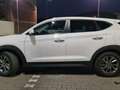 Hyundai TUCSON Xpossible 2.0 CRDi Blanc - thumbnail 8