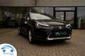 Lexus UX 250h Business Line Plus Carplay/Camera/Lane Assist/F... Schwarz - thumbnail 23