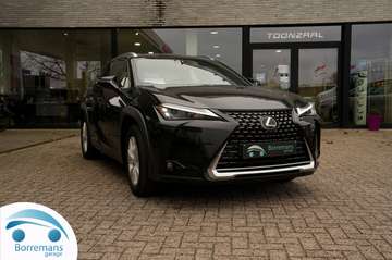 Business Line Plus Carplay/Camera/Lane Assist/F...