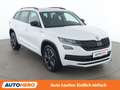 Skoda Kodiaq 2.0 TDI Sportline 4x4 Weiß - thumbnail 8
