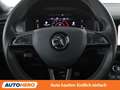 Skoda Kodiaq 2.0 TDI Sportline 4x4 Weiß - thumbnail 19