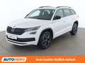 Skoda Kodiaq 2.0 TDI Sportline 4x4 Weiß - thumbnail 1