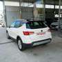 SEAT Arona 1.6 TDI 95 CV DSG XCELLENCE Bianco - thumbnail 8