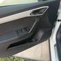 SEAT Arona 1.6 TDI 95 CV DSG XCELLENCE Bianco - thumbnail 13