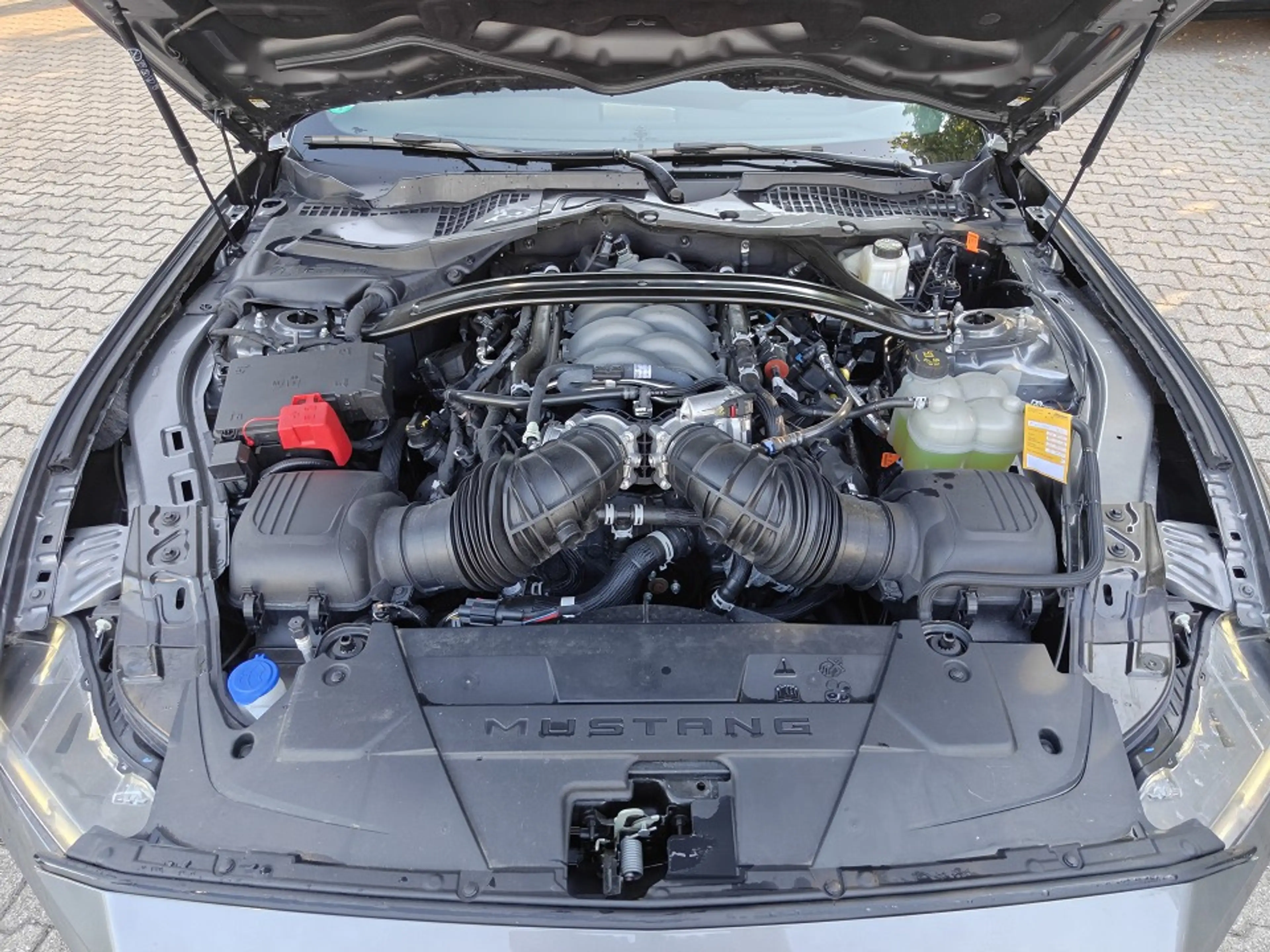 Ford Mustang Fastback 5.0 Ti-VCT V8 GT Grail — photo 11