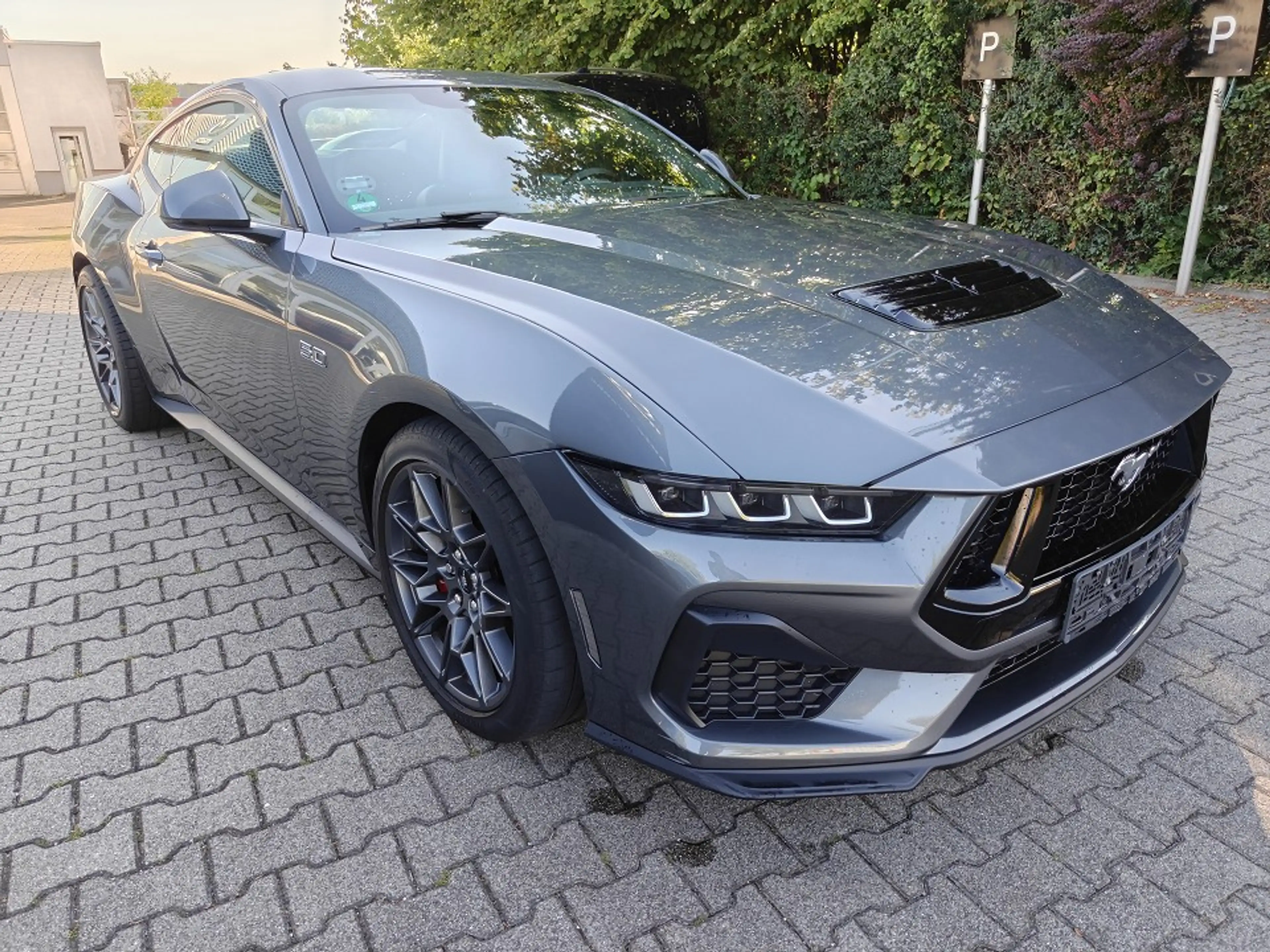 Ford Mustang Fastback 5.0 Ti-VCT V8 GT Grail — photo 7