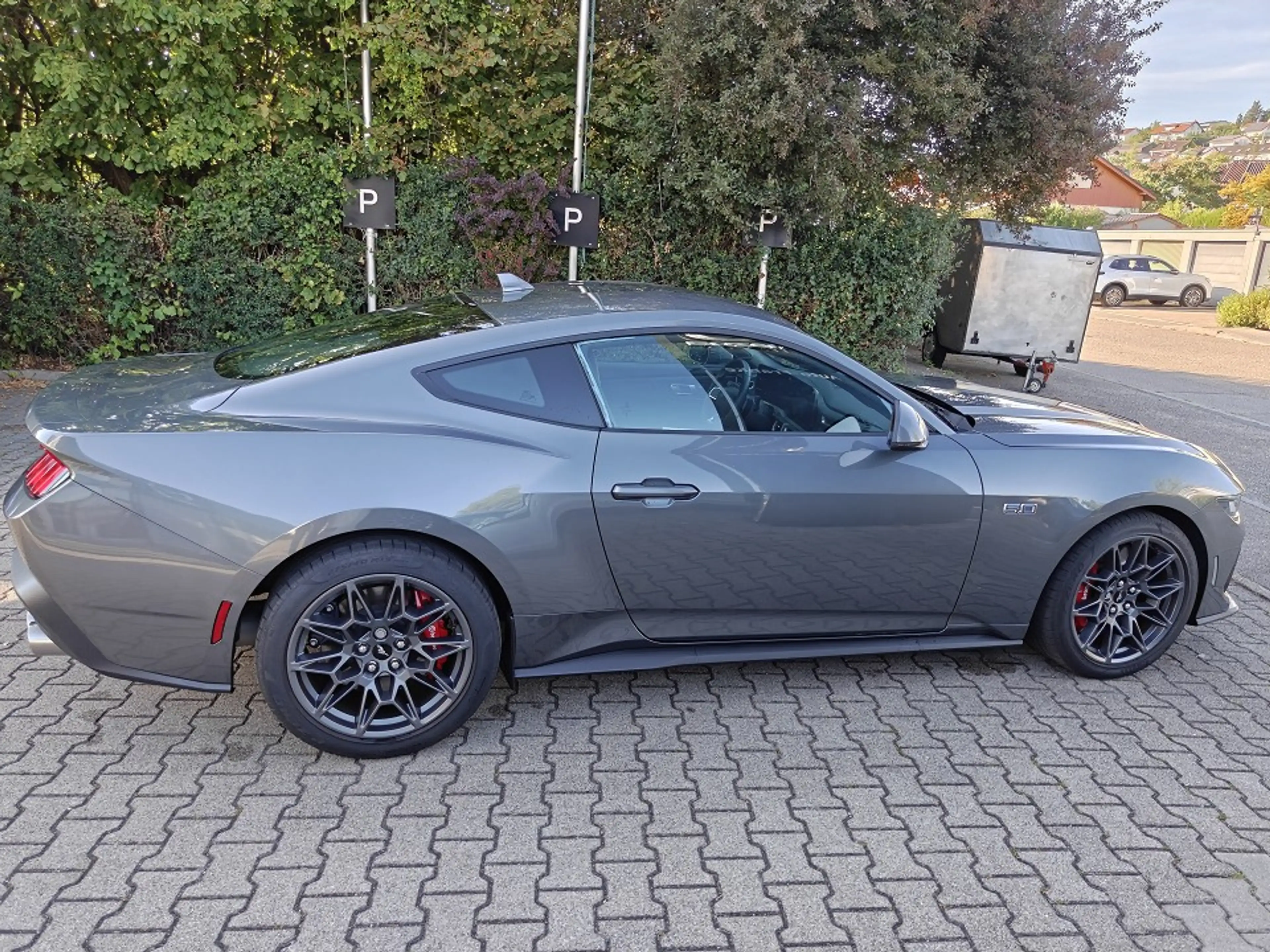 Ford Mustang Fastback 5.0 Ti-VCT V8 GT Grail — photo 6