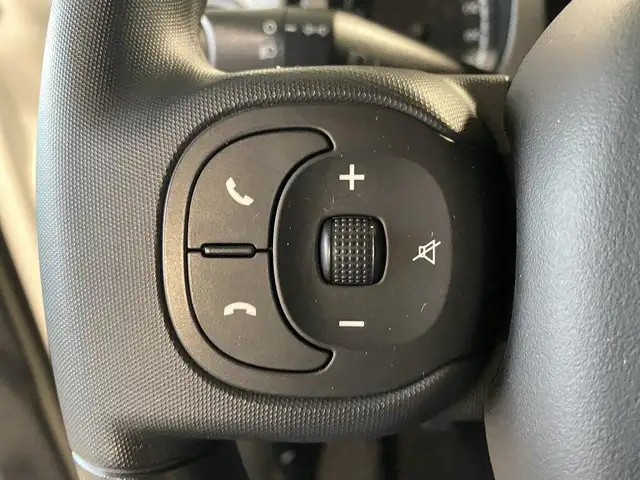 Fiat Panda view 13
