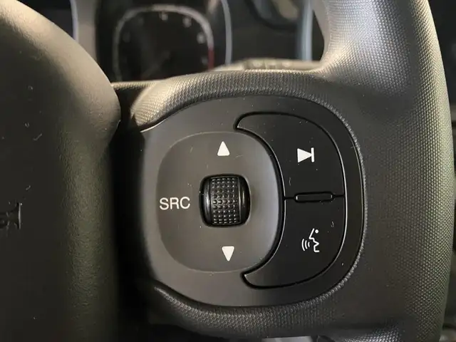 Fiat Panda view 14