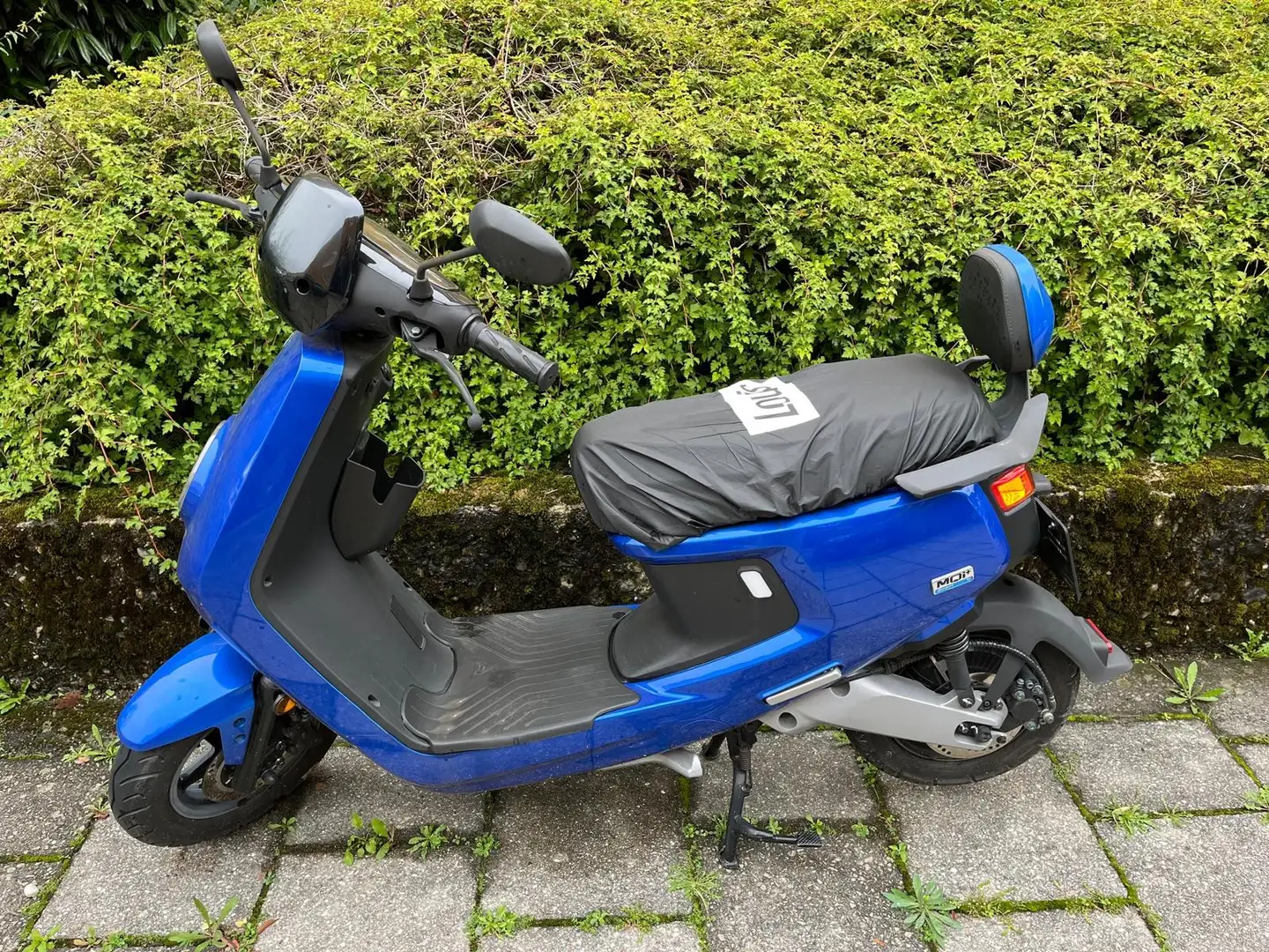 Niu MQi MQi+ Sport Bleu - 1