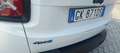 Jeep Renegade TUTTI TAGLIANDI UFFICIALI 4x4 Trailhawk PHEV Bianco - thumbnail 12