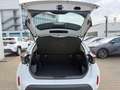 Toyota Yaris Cross 1.5 Business Edition ++SHZ+SpurH++ Weiß - thumbnail 21