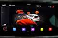 CUPRA Ateca 2.0 TSI VZ 4Drive ACC Navi LED 360° Beats Weiß - thumbnail 10