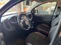 Fiat Panda 1.0 HYBRID 24.000KM ANNO 2021 AZIENDALE UNIPRO Noir - thumbnail 11