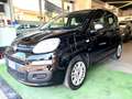 Fiat Panda 1.0 HYBRID 24.000KM ANNO 2021 AZIENDALE UNIPRO Noir - thumbnail 3