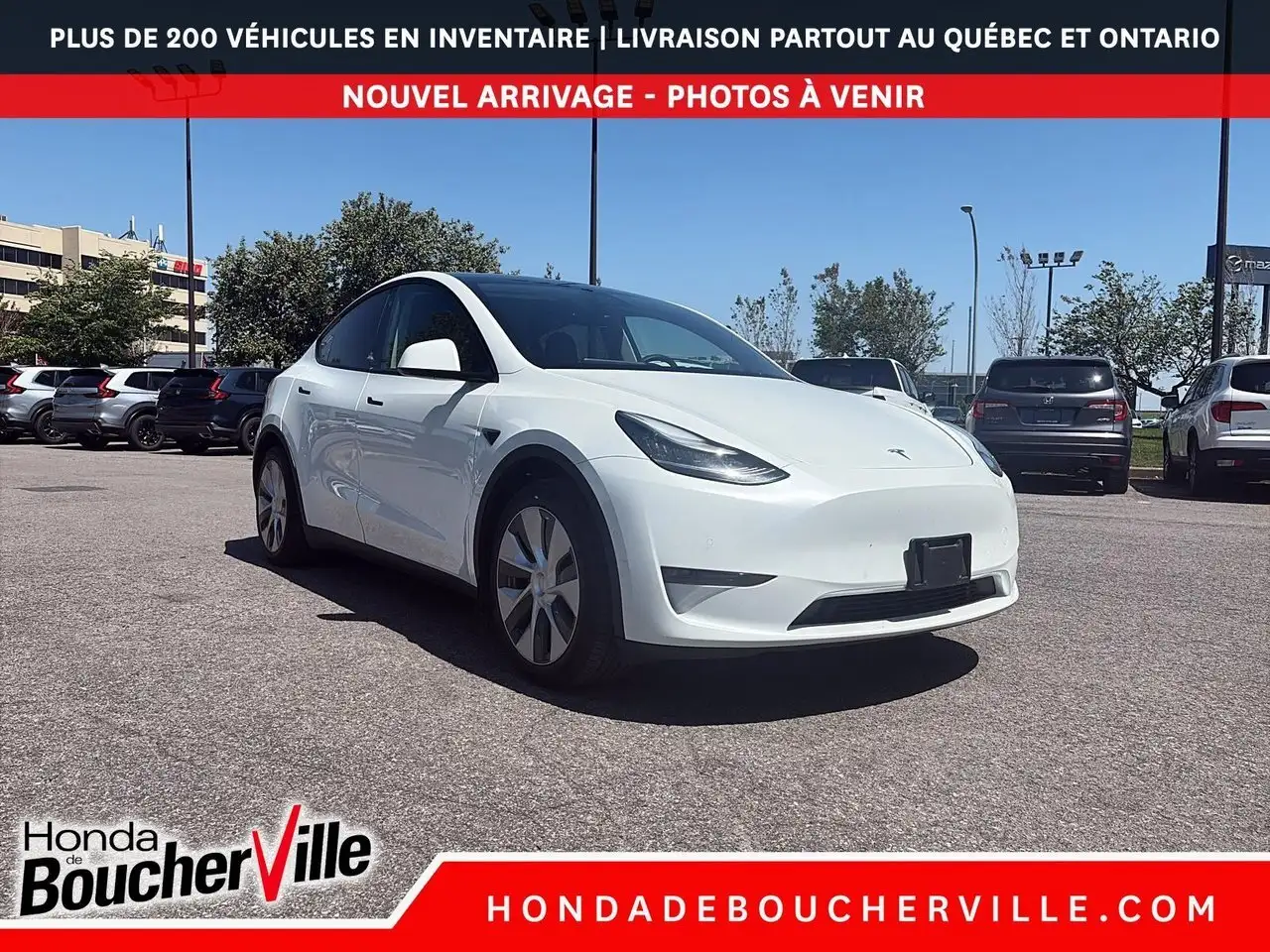 Tesla Model Y снимка Tesla Model Y