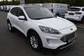 Ford Kuga TITANIUM X 2.5l PHEV AHK,ACC,LED,Kamera... Blanc - thumbnail 6