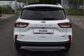 Ford Kuga TITANIUM X 2.5l PHEV AHK,ACC,LED,Kamera... Blanc - thumbnail 3