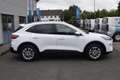 Ford Kuga TITANIUM X 2.5l PHEV AHK,ACC,LED,Kamera... Blanc - thumbnail 8