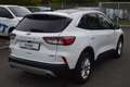 Ford Kuga TITANIUM X 2.5l PHEV AHK,ACC,LED,Kamera... Blanc - thumbnail 2