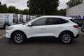 Ford Kuga TITANIUM X 2.5l PHEV AHK,ACC,LED,Kamera... Blanc - thumbnail 7