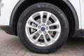 Ford Kuga PHEV Titanium 2,5L 225PS Automatik | AHK , Weiß - thumbnail 20