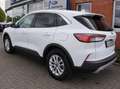 Ford Kuga PHEV Titanium 2,5L 225PS Automatik | AHK , Weiß - thumbnail 2