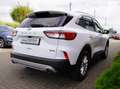 Ford Kuga PHEV Titanium 2,5L 225PS Automatik | AHK , Weiß - thumbnail 3