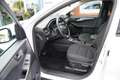 Ford Kuga PHEV Titanium 2,5L 225PS Automatik | AHK , Weiß - thumbnail 5
