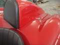 Triumph TR3 BARCHETTA Rot - thumbnail 4