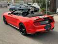 Ford Mustang Mustang Convertible 2.3EcoBoost aut. NO SUPERBOLLO Orange - thumbnail 5