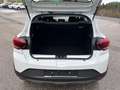 Dacia Sandero Stepway TCe 90 Weiß - thumbnail 12