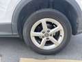 Audi Q2 35 TDI S-TRONIC Blanc - thumbnail 4