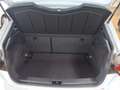 SEAT Ibiza FR 1.0 TSI DSG *LED*ACC*NAVI*R-CAM*SHZ*TEL Weiß - thumbnail 4