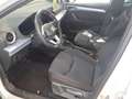 SEAT Ibiza FR 1.0 TSI DSG *LED*ACC*NAVI*R-CAM*SHZ*TEL Weiß - thumbnail 6