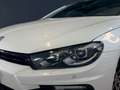 Volkswagen Scirocco R DSG Keyless Pano Leder Kamera BiXenon Weiß - thumbnail 4