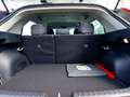 Kia Niro 1.6 GDi HEV Edition7 Wit - thumbnail 6