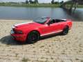 Ford Mustang Cabrio 5.4 V8 SHELBY COBRA GT500 Supercharged Rojo - thumbnail 45