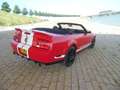 Ford Mustang Cabrio 5.4 V8 SHELBY COBRA GT500 Supercharged Rood - thumbnail 33