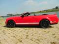 Ford Mustang Cabrio 5.4 V8 SHELBY COBRA GT500 Supercharged Rood - thumbnail 44