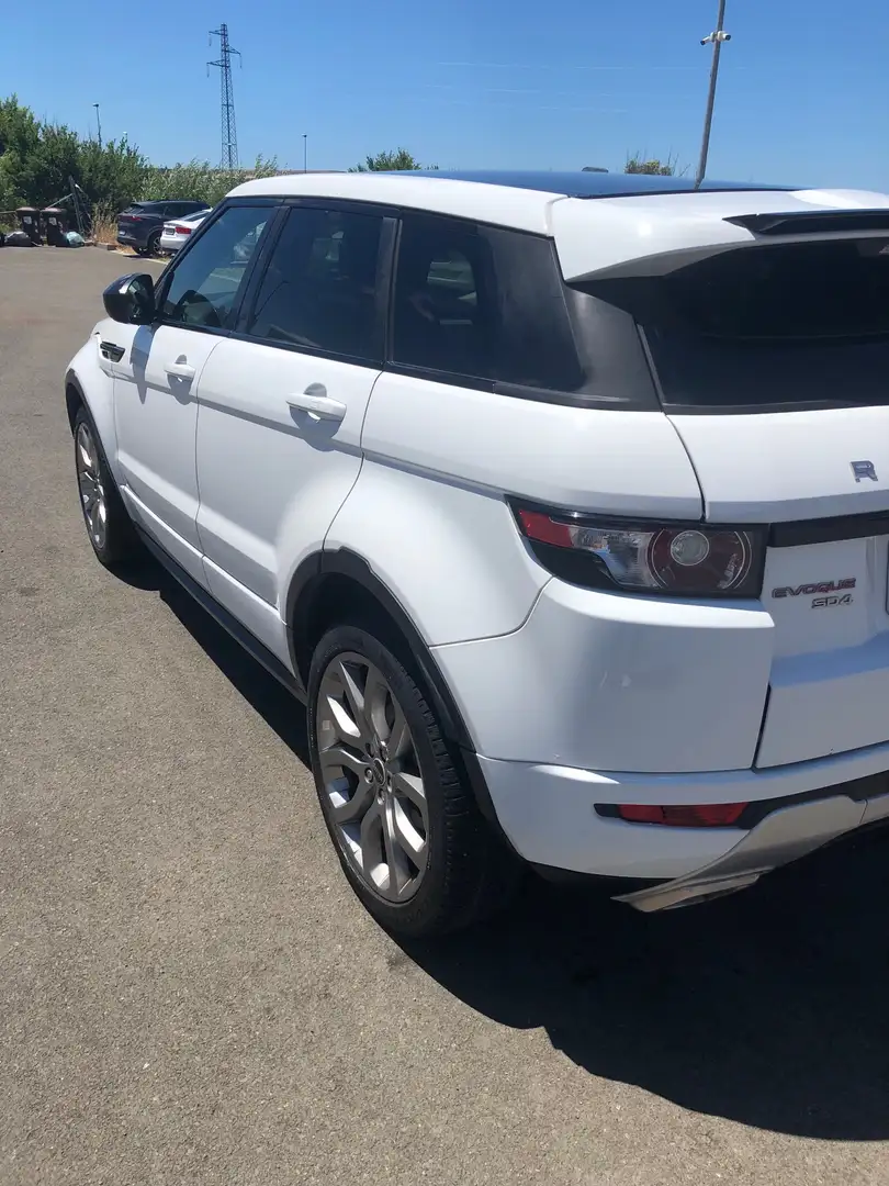 Land Rover Range Rover Evoque 5p 2.2 sd4 Dynamic 190cv auto 9m Bianco - 1