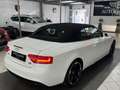 Audi A5 2.0 TDI  quattro*S LINE SPORT* Blanc - thumbnail 4