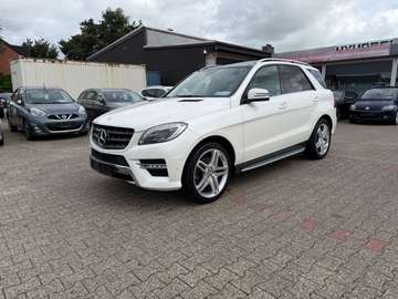 BT AMG/SPORT PANO DESIGNO VOLL