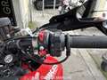 Ducati Hypermotard 950 - thumbnail 18
