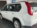 Nissan X-Trail Todoterreno Manual de 5 Puertas Weiß - thumbnail 4